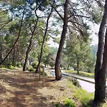 Διαμέρισμα Pino Πούλα